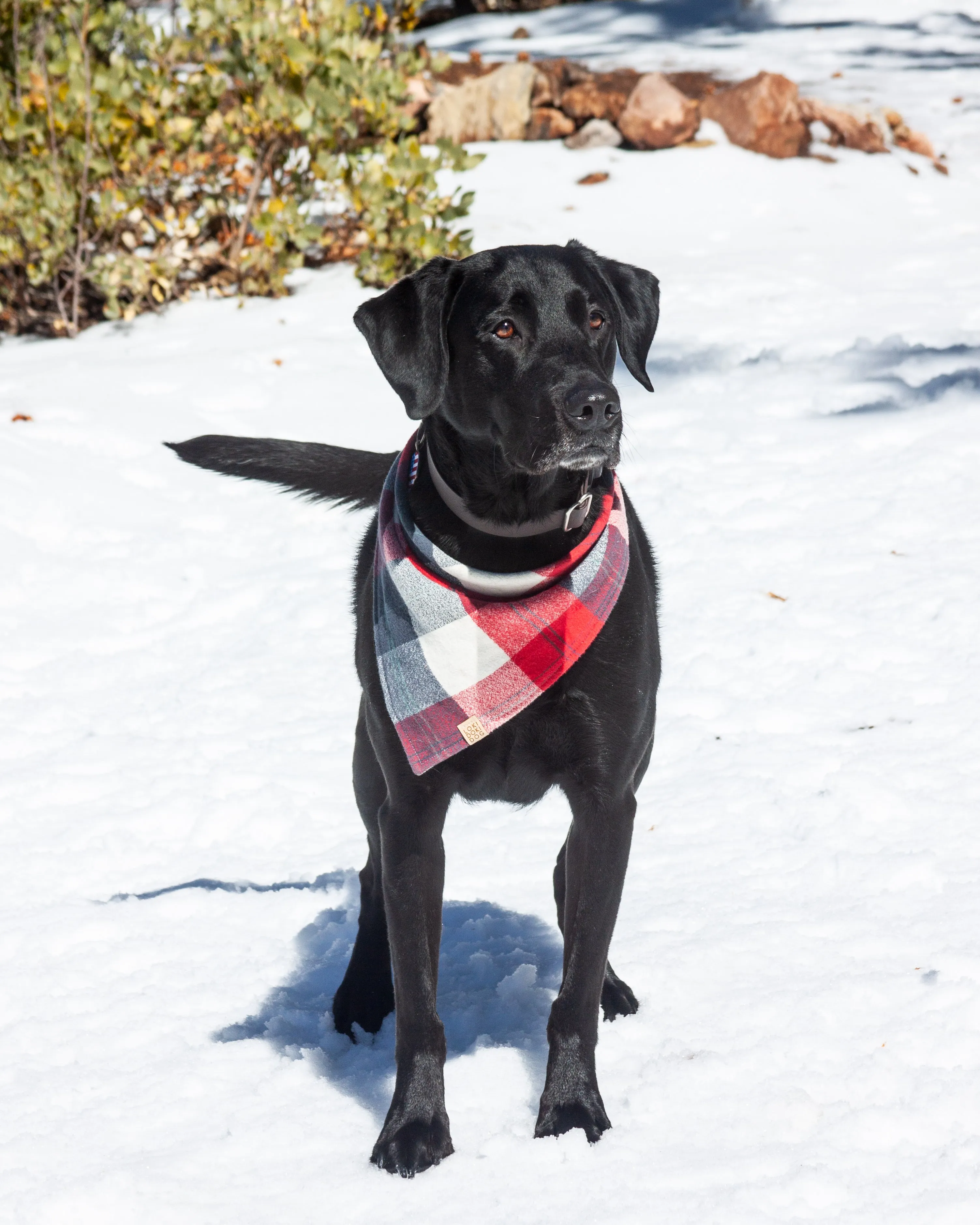 All-American Flannel Plaid Dog Bandana (Personalization Available)