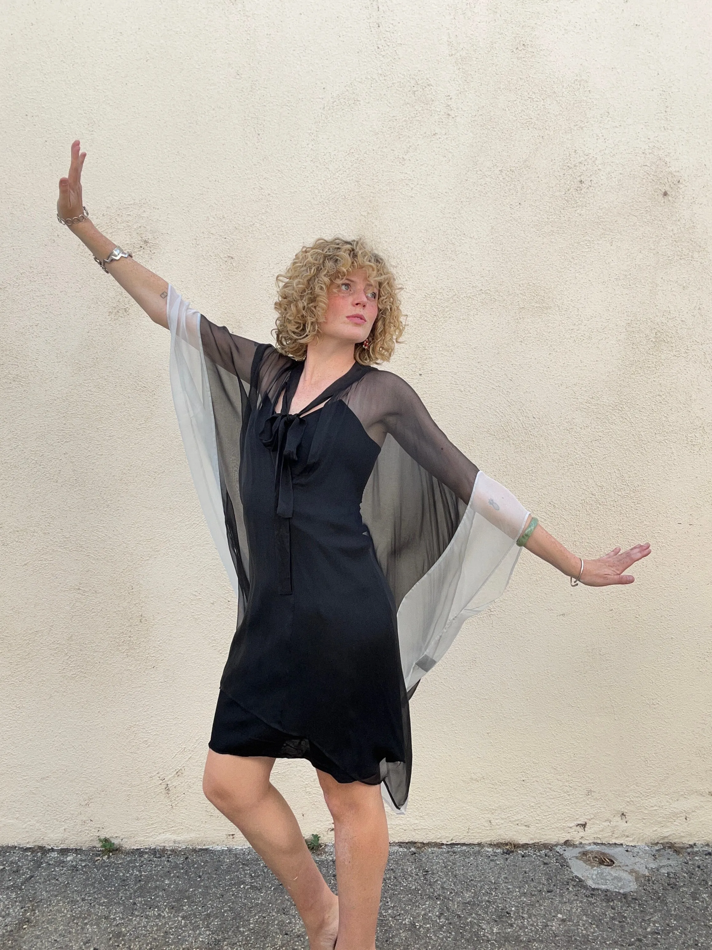 Haider Ackerman Black and White Sheer Silk Cape Dress