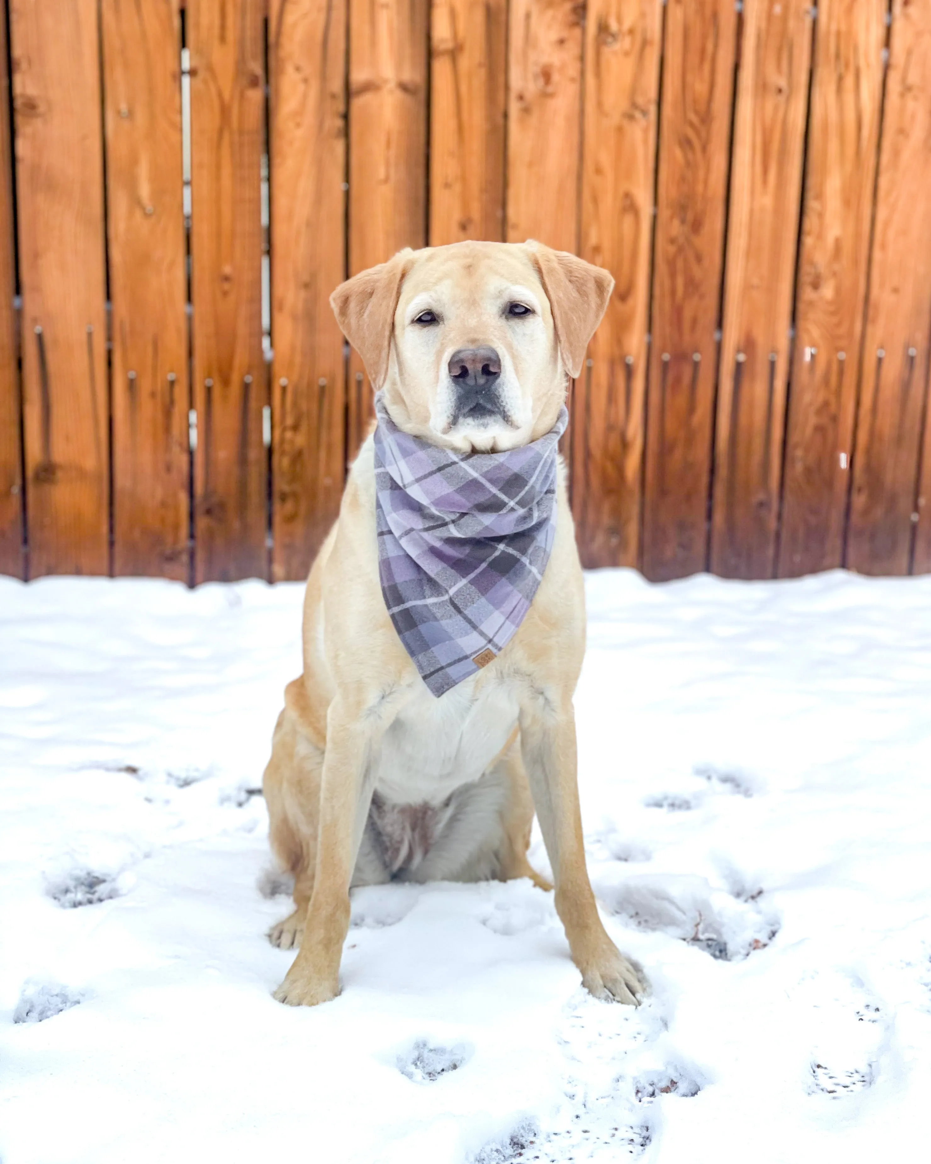 Lavender Plaid Flannel Dog Bandana (Personalization Available)