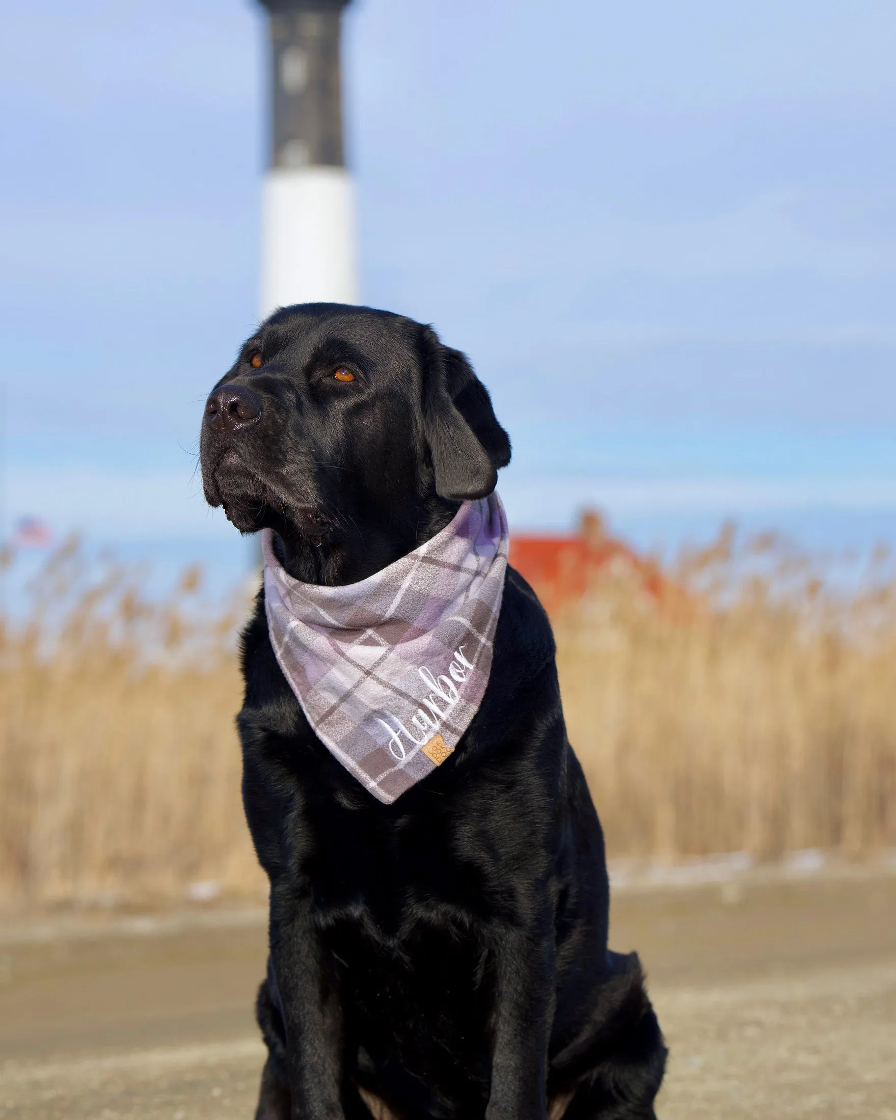 Lavender Plaid Flannel Dog Bandana (Personalization Available)