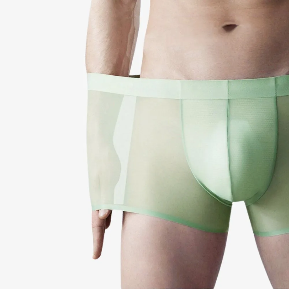 Men's Ultra Thin Ice Silk Underpants (4-Pack) - JEWYEE - ZJ026