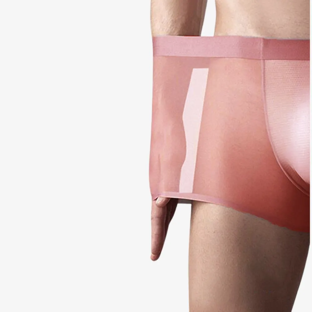 Men's Ultra Thin Ice Silk Underpants (4-Pack) - JEWYEE - ZJ026