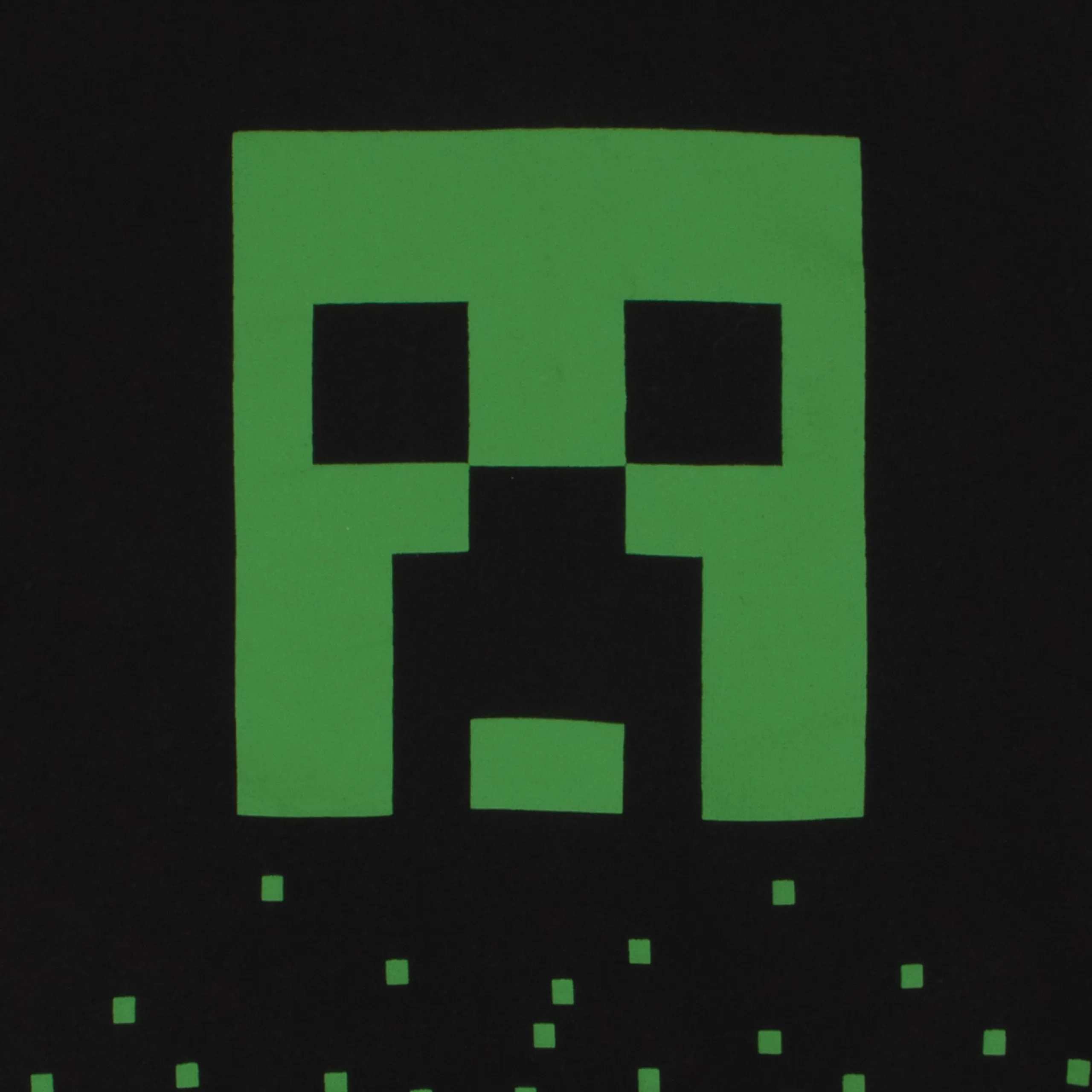 Minecraft Creeper Hoodie