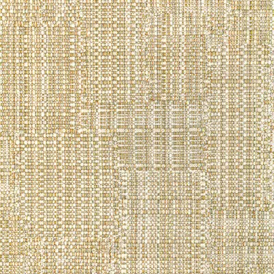 Seedbed-Golden Olive