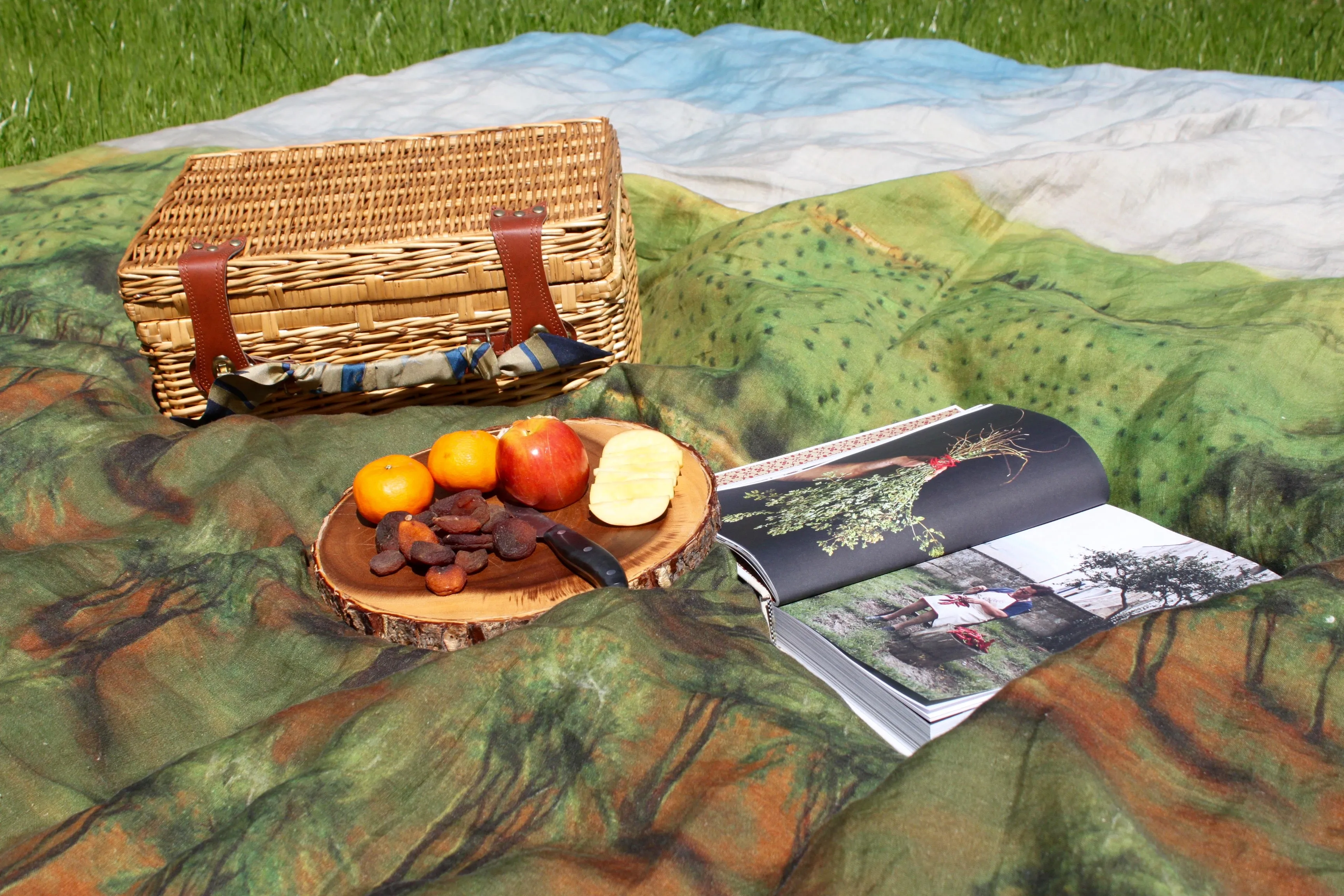 Tuscana Olive Grove Mezzeri